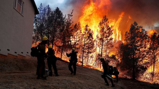 У Каліфорнії лісова пожежа: евакуювали вже близько 20 тисяч людей