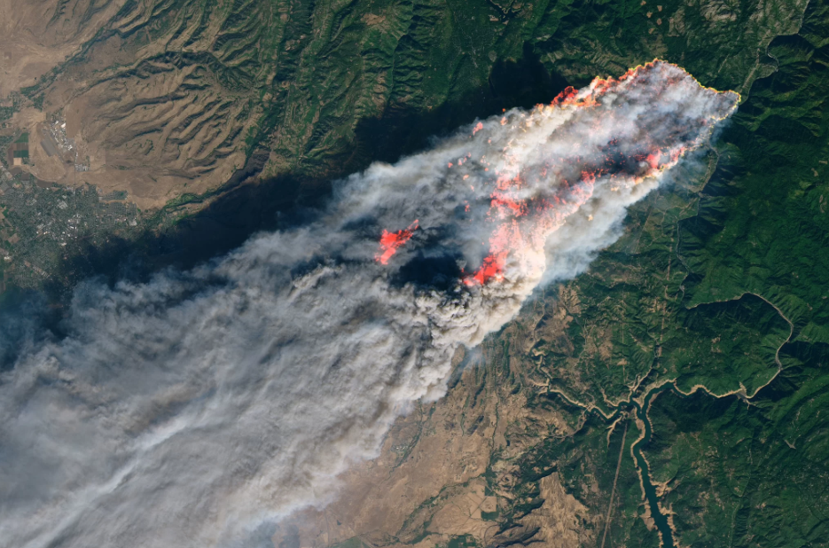 Лісові пожежі у Каліфорнії: з’явилися знімки з супутника (ФОТО)
