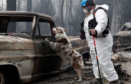Пожежі у Каліфорнії: загинула 71 людина, понад 1000 людей вважаються зниклими безвісти