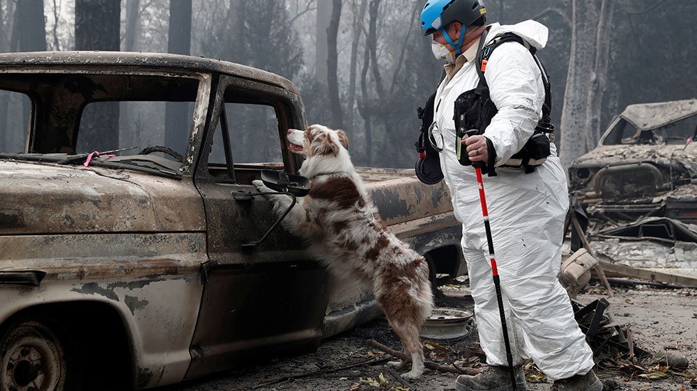 Пожежі у Каліфорнії: загинула 71 людина, понад 1000 людей вважаються зниклими безвісти