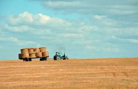 В Україні пропонують нові додаткові програми для підтримки фермерства — експертка Аграрного союзу