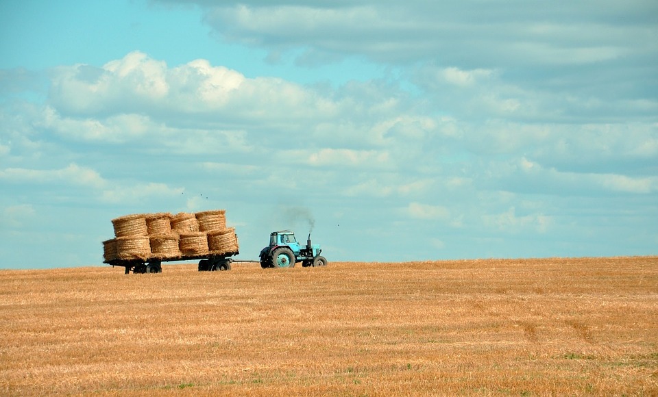 В Україні пропонують нові додаткові програми для підтримки фермерства — експертка Аграрного союзу