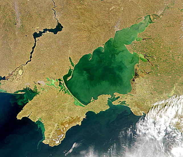 Коли і чому Азовське море стало точкою напруги? Пояснив очільник Центру військово-правових досліджень