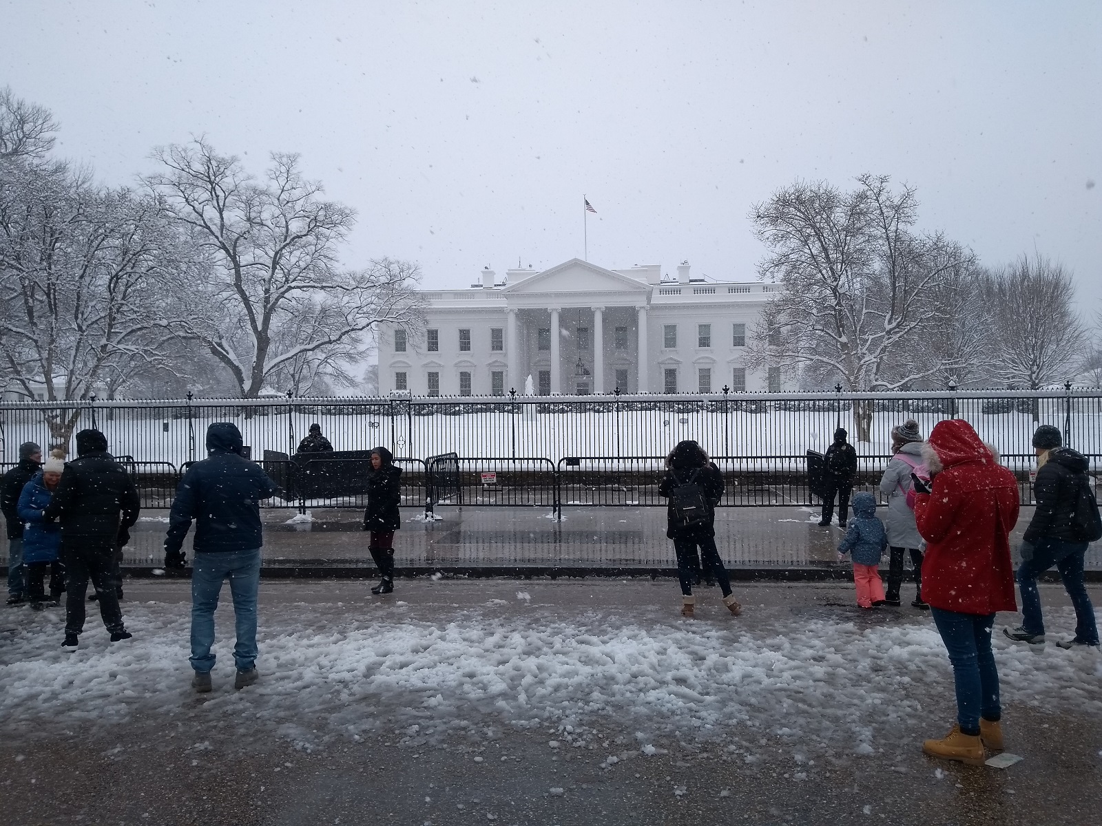 Сніг у Вашингтоні: без паніки, але школи і держустанови в понеділок не працюють (оновлено, фото)