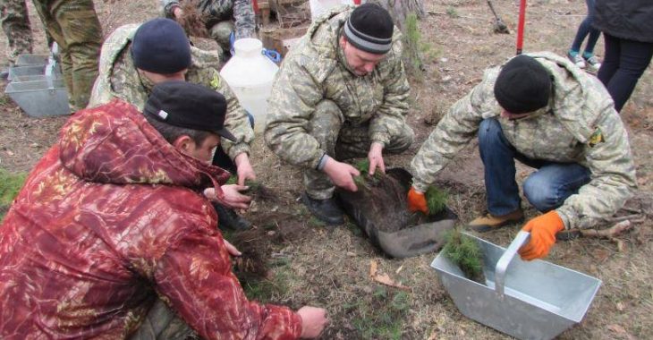 На Чернігівщині висадили Алею воїнів АТО На Чернігівщині висадили Алею воїнів АТО