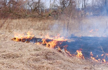 На Львівщині вихідними сталося 64 загоряння сухої трави. Рятувальники виявили двох паліїв (фото)