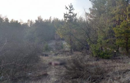 У лісі Харківської області знайшли мертвим військового