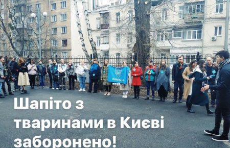 Суд підтвердив заборону цирку з тваринами у Києві — активісти