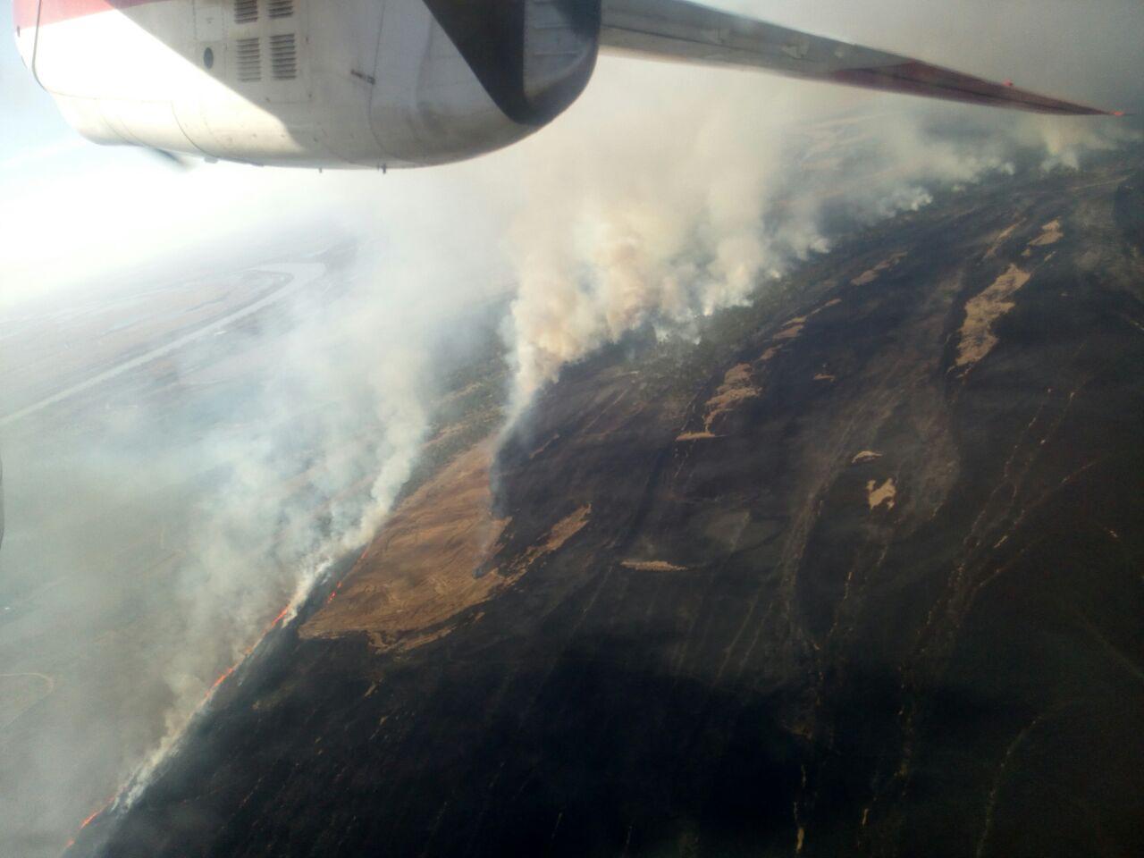 На Одещині горить 50 га трави та очерету, гасити пожежу допомагає авіація (фото)