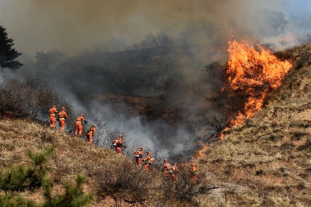 Лісова пожежа у горах Китаю: загинули 24 пожежники