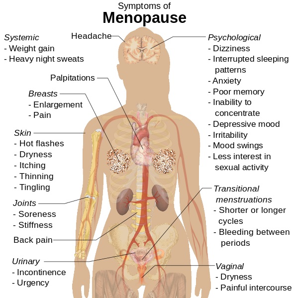 менопауза симптоми