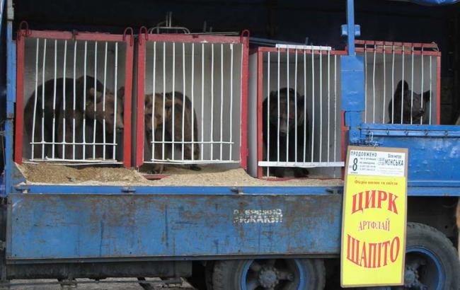 У Кропивницькому заборонили пересувні цирки з тваринами