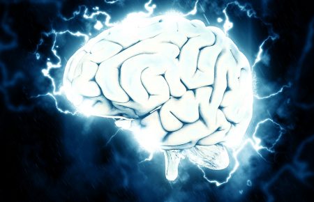 Що таке нейроменеджмент та як використовувати знання про мозок
