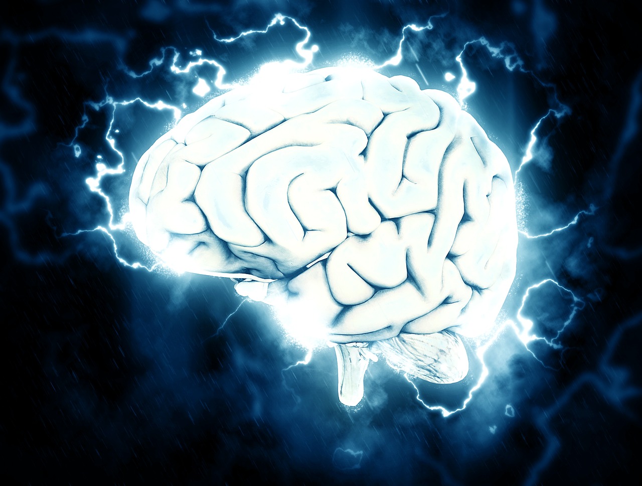 Що таке нейроменеджмент та як використовувати знання про мозок