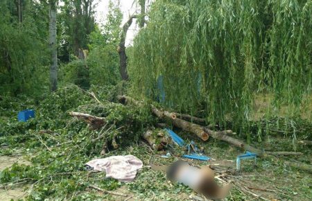 На базі відпочинку у Харківській області впало дерево — одна людина загинула, двоє в реанімації