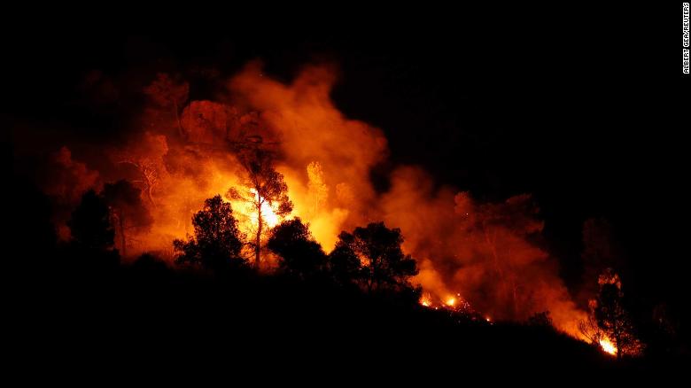 В Іспанії на тлі аномальної спеки лісові пожежі охопили понад 4 тисяч гектарів