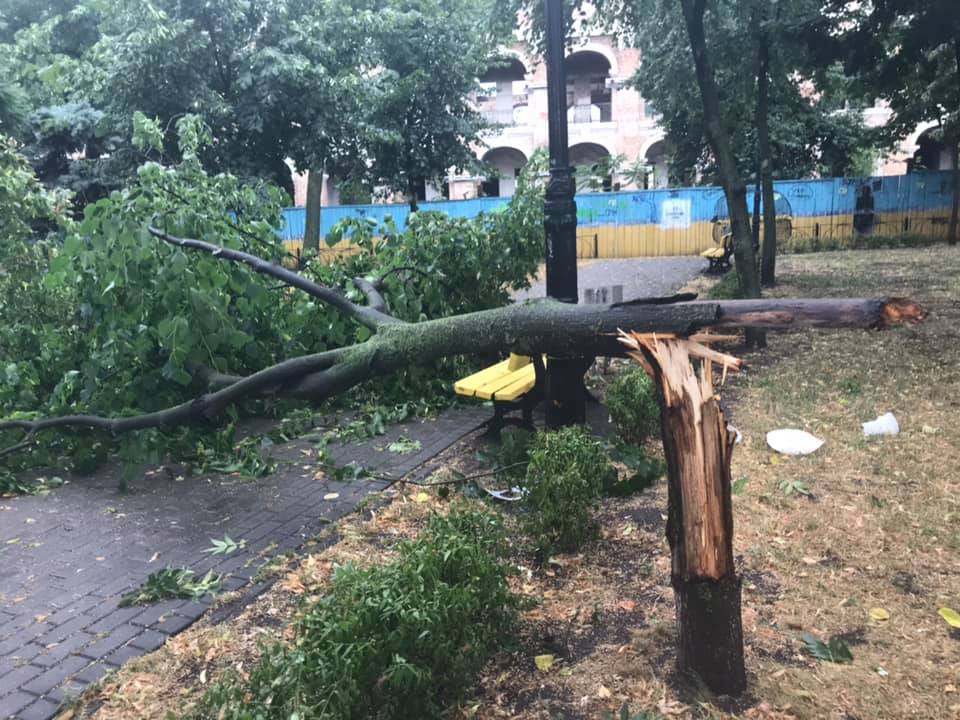 Повалені дерева та побиті авто: у Києві гроза та злива (фото, відео)