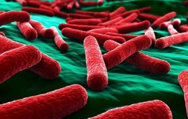 У Рубіжному збільшилась кількість хворих на кишкову інфекцію після купання в озері У Рубіжному збільшилась кількість хворих на кишкову інфекцію після купання в озері