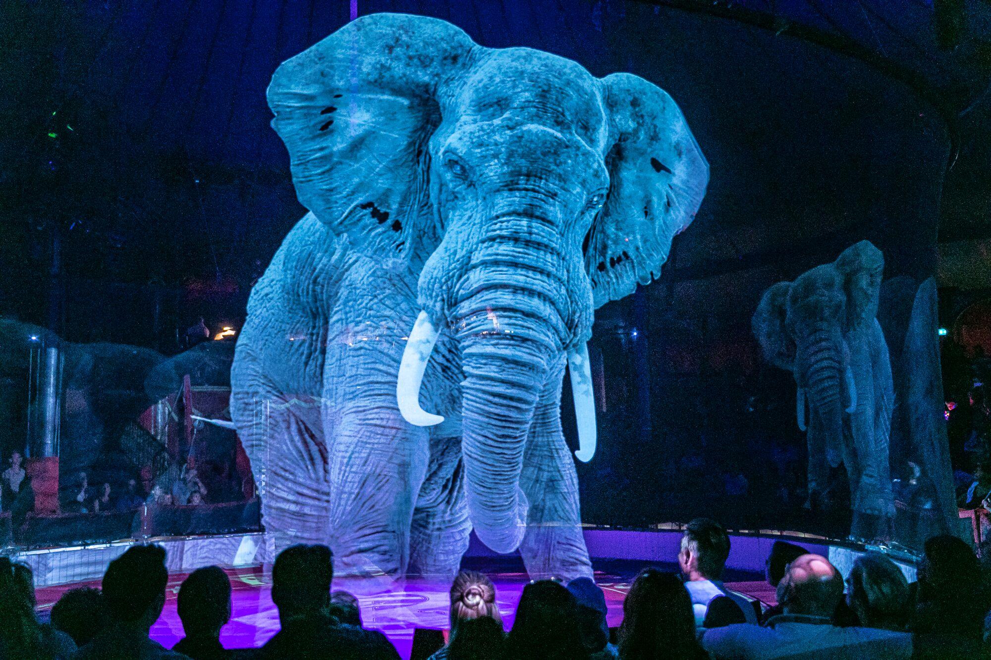 У Німеччині живих тварин у цирку замінили на 3D голограми