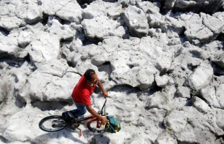 У Мексиці випав товстий шар снігу