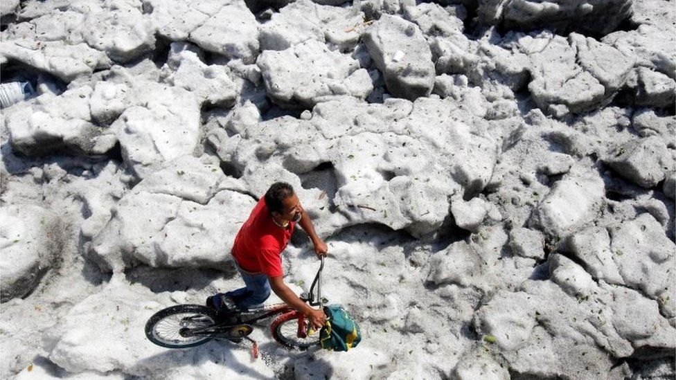 У Мексиці випав товстий шар снігу