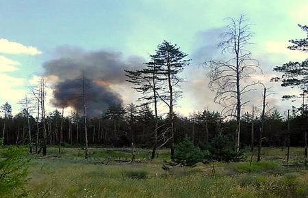 Рятувальники локалізували пожежу замінованого лісу в Луганській області