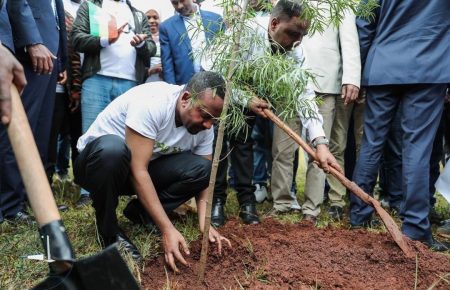 В Ефіопії висадили понад 353 мільйонів дерев за 12 годин