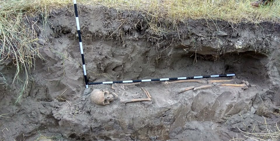 Заколоті багнетами та шаблями: історик про масове поховання на Житомирщині