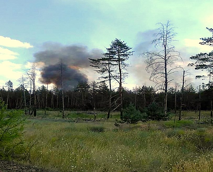 Луганщина: біля кордону з РФ горить ліс, гасити пожежу складно через замінування території