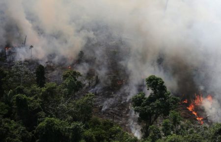 Лідери G7 домовилися про фінансову допомогу у боротьбі з пожежами в лісах Амазонки