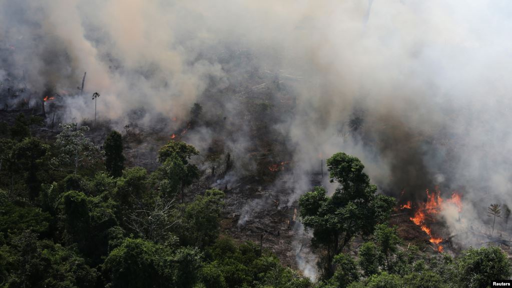 Лідери G7 домовилися про фінансову допомогу у боротьбі з пожежами в лісах Амазонки
