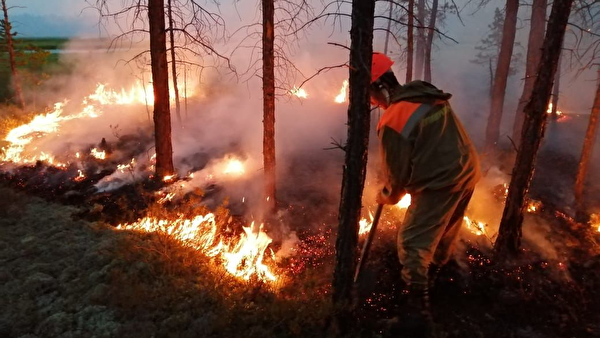 У Росії горить 50 тисяч гектарів лісу