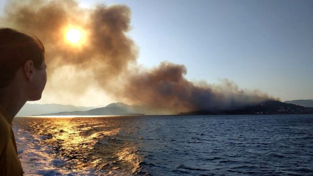 Греція: туристів евакуювали через потужні лісові пожежі