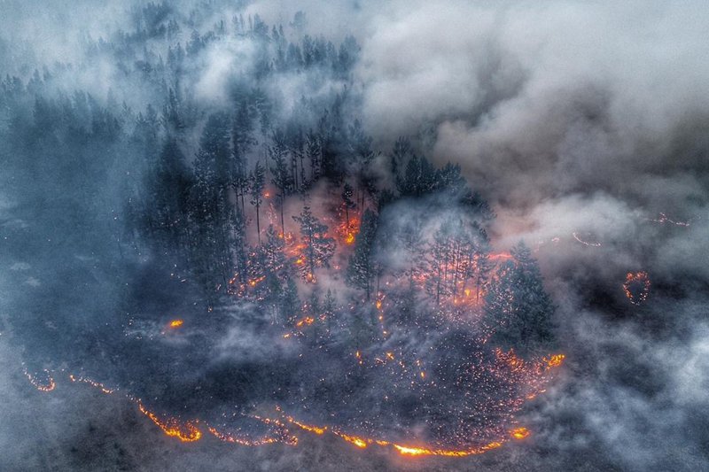 NASA зафіксувало дим від пожежі у Сибіру біля Канади та США: палає 3 млн га