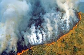 До яких наслідків можуть привести пожежі в лісах Амазонії?