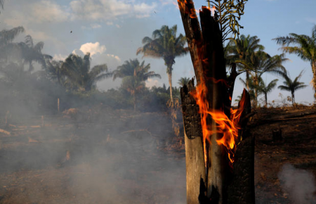 Пожежі у лісах Амазонії: Макрон закликає обговорити проблему на саміті G7
