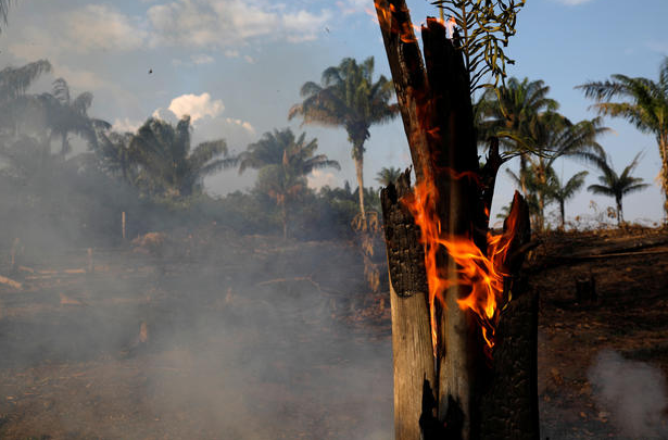 Пожежі у лісах Амазонії: Макрон закликає обговорити проблему на саміті G7