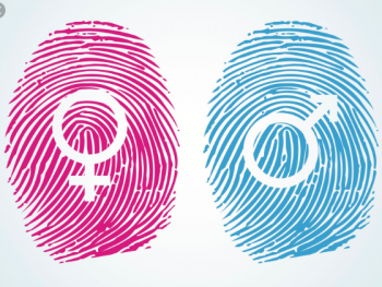 З якими проявами гендерної дискримінації стикаються юристки та юристи?