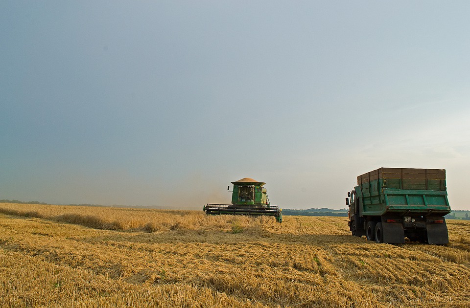 Опубліковано текст законопроекту про ринок землі в Україні