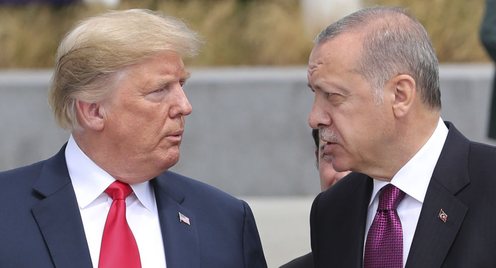 США не братимуть участь в операції Туреччини на півночі Сирії