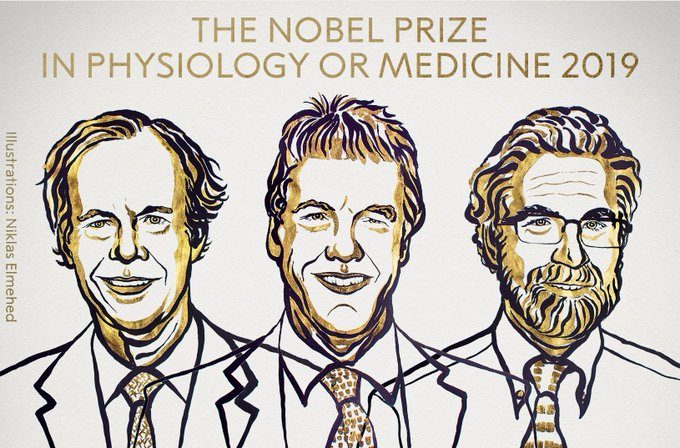 Нобелівську премію з медицини вручили за відкриття реакції живих клітин на кисень