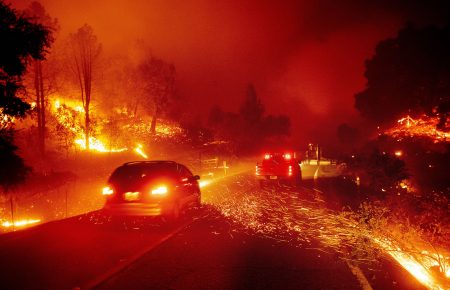 У Каліфорнії оголосили надзвичайну ситуацію на тлі масштабних лісових пожеж