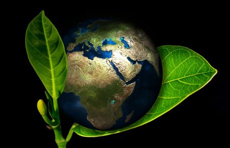 8 міфів про екологію