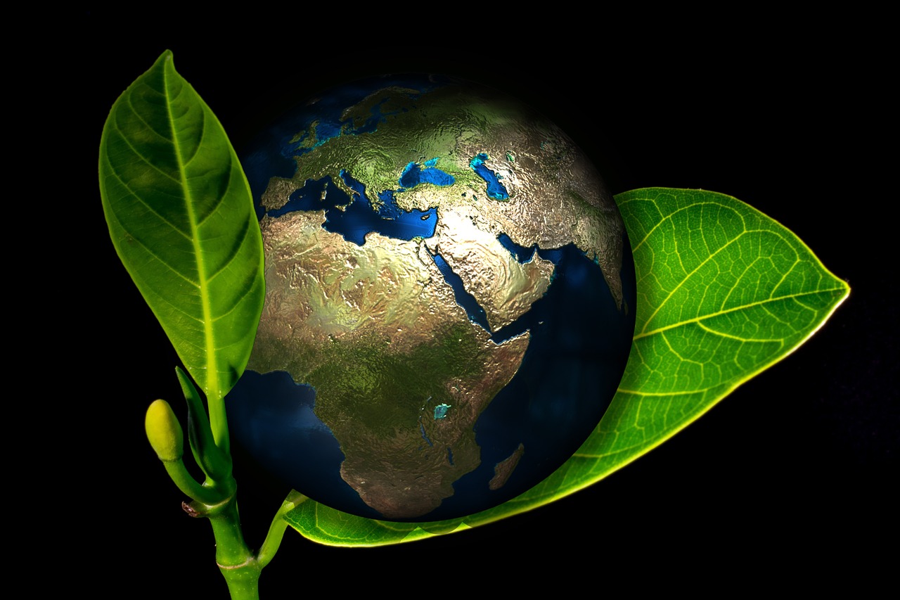 8 міфів про екологію