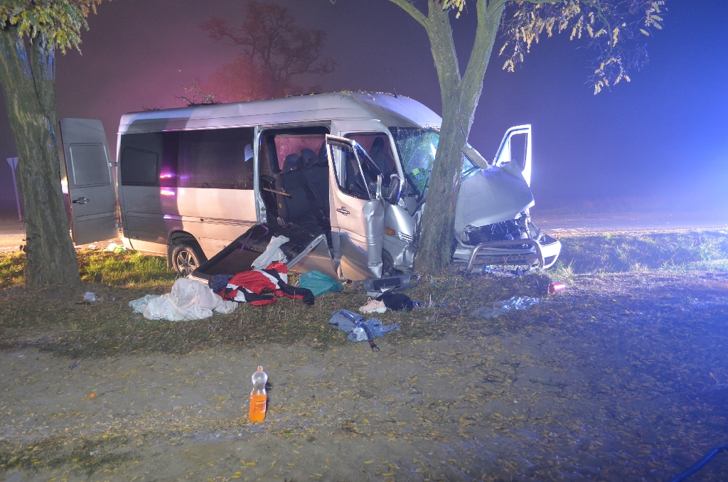 В Угорщині в аварію потрапив мікроавтобус з українцями, 10 людей постраждало
