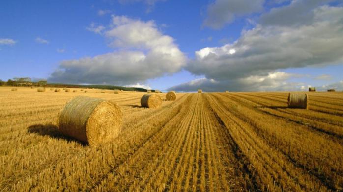 Чому фермери проти земельної реформи і чи мають іноземці право купувати землю в Україні?