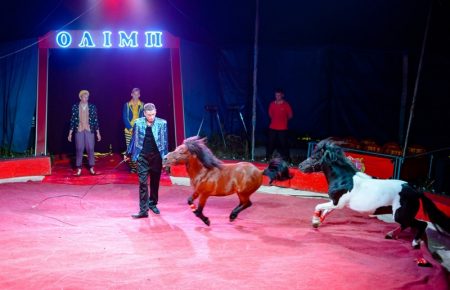 У Чернівцях заборонили гастролі пересувних цирків з тваринами