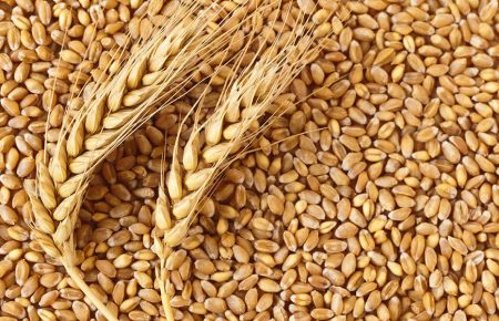 Україна встановила новий рекорд з експорту зернових