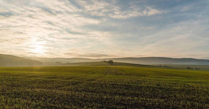 Після відкриття ринку росіянам заборонять купувати сільгоспземлю в Україні — уповноважений президента Після відкриття ринку росіянам заборонять купувати сільгоспземлю в Україні — уповноважений президента
