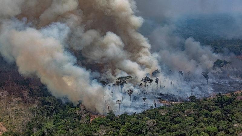 Президент Бразилії звинуватив ДіКапріо у фінансуванні підпалів тропічних лісів Амазонії